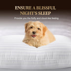 Hotel Collection Pillows 2 Pack with Cotton Cover