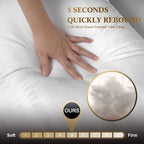 Hotel Collection Pillows 2 Pack with Cotton Cover